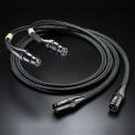 Interconnect (XLR)