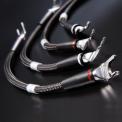 Speaker Jumper Cables