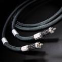 Interconnect (RCA)