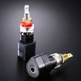 FT-809(G)