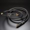 Evolution II RCA Digital Cable (1.2M)
