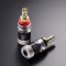 FT-816(R ) Binding Posts (2pcs/set)