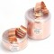 CFC14 Air-Core Copperfoil Coil