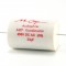 MCap MKP (250V)